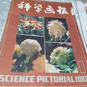 科学画报1983年1.2.3.4.5.6.8.10.11期合售