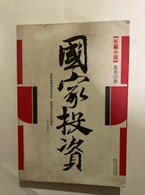 国家投资