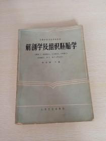 解剖学及组织胚胎学