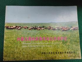 内蒙古锡林郭勒草原自然保护区