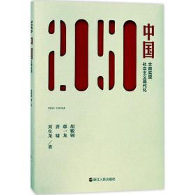 2050中国 政治理论 胡鞍钢 等