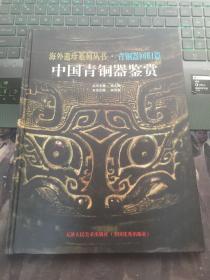 中國青銅器鑒賞