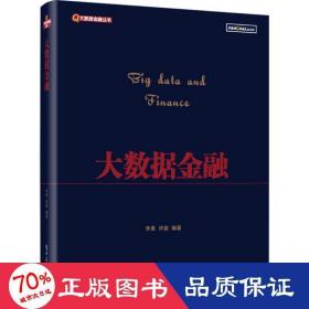 大数据金融 经济理论、法规 李勇,许荣 编