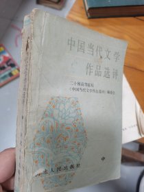 中国当代文学作品选评（中）