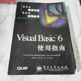 Visual Basic 6.0使用指南