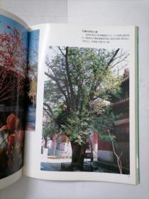 北京古树名木