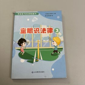 童眼识法律3（写给孩子的法律漫画书）