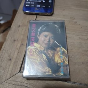 董文华演唱（第四辑）