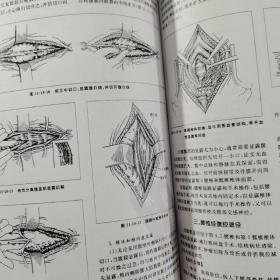 实用骨科学（第4版上下册）