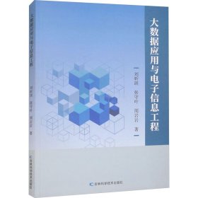 大数据应用与电子信息工程 9787574403277 刘昕琪,张守叶,周岩岩 吉林科学技术出版社