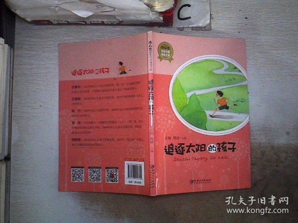 冰心奖获奖作家精品文库·追逐太阳的孩子