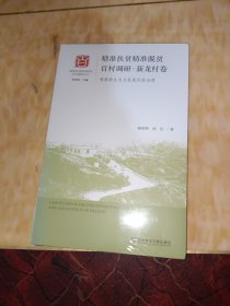 精准扶贫精准脱贫百村调研 新龙村卷：喀斯特生态与发展风险治理