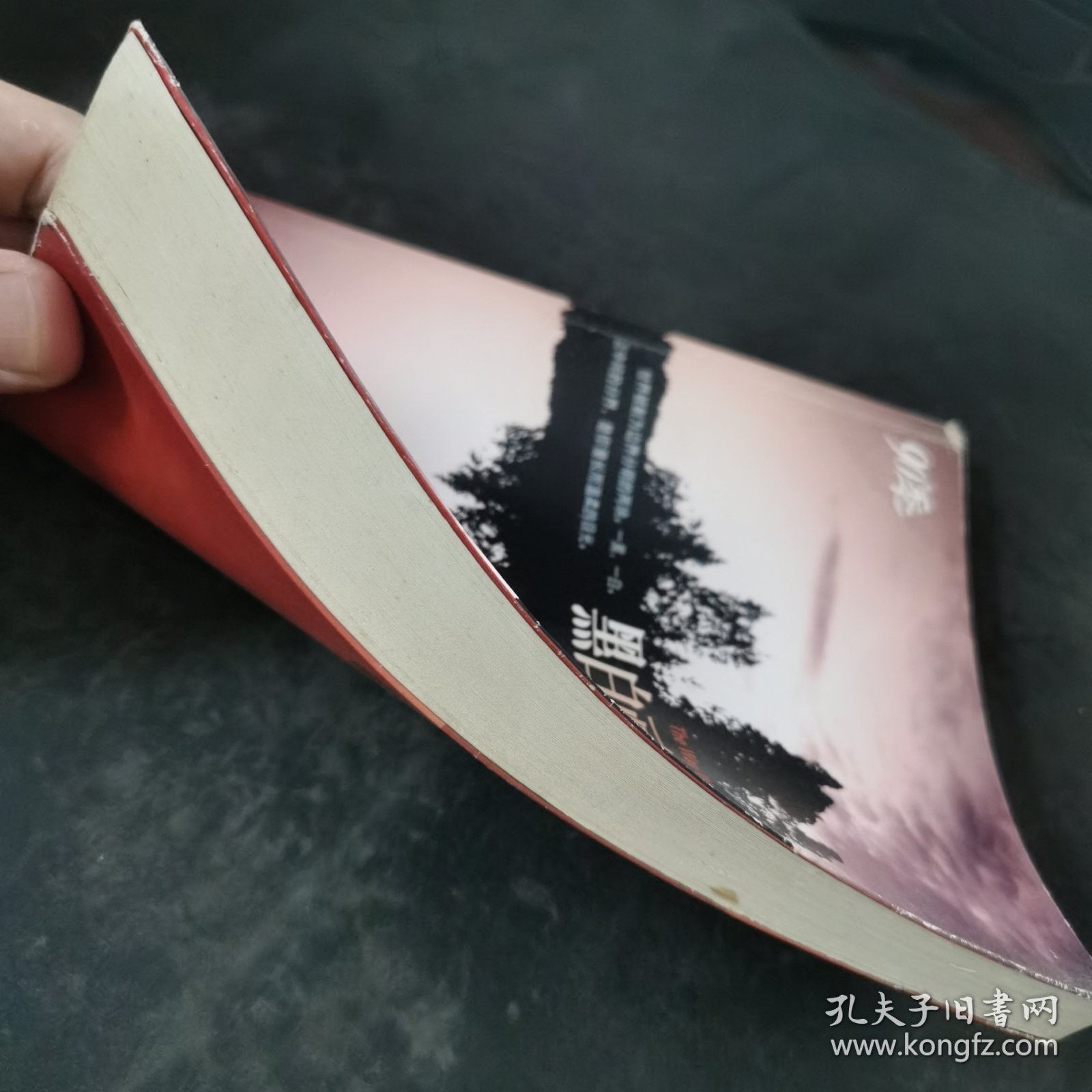 黑白画境：90后的追梦宣言