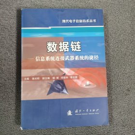 数据链：信息系统连接武器系统的捷径