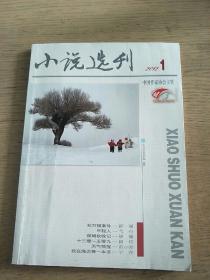 小说选刊 2012  1