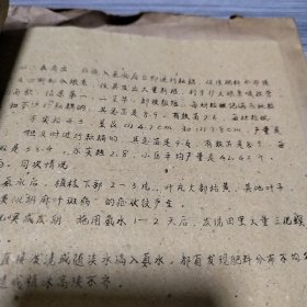 农科院藏书土纸印刷＜1960年农作物科研报告选编＞南京市农业科学研究所，1961年3月