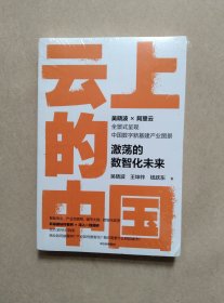 云上的中国：激荡的数智化未来