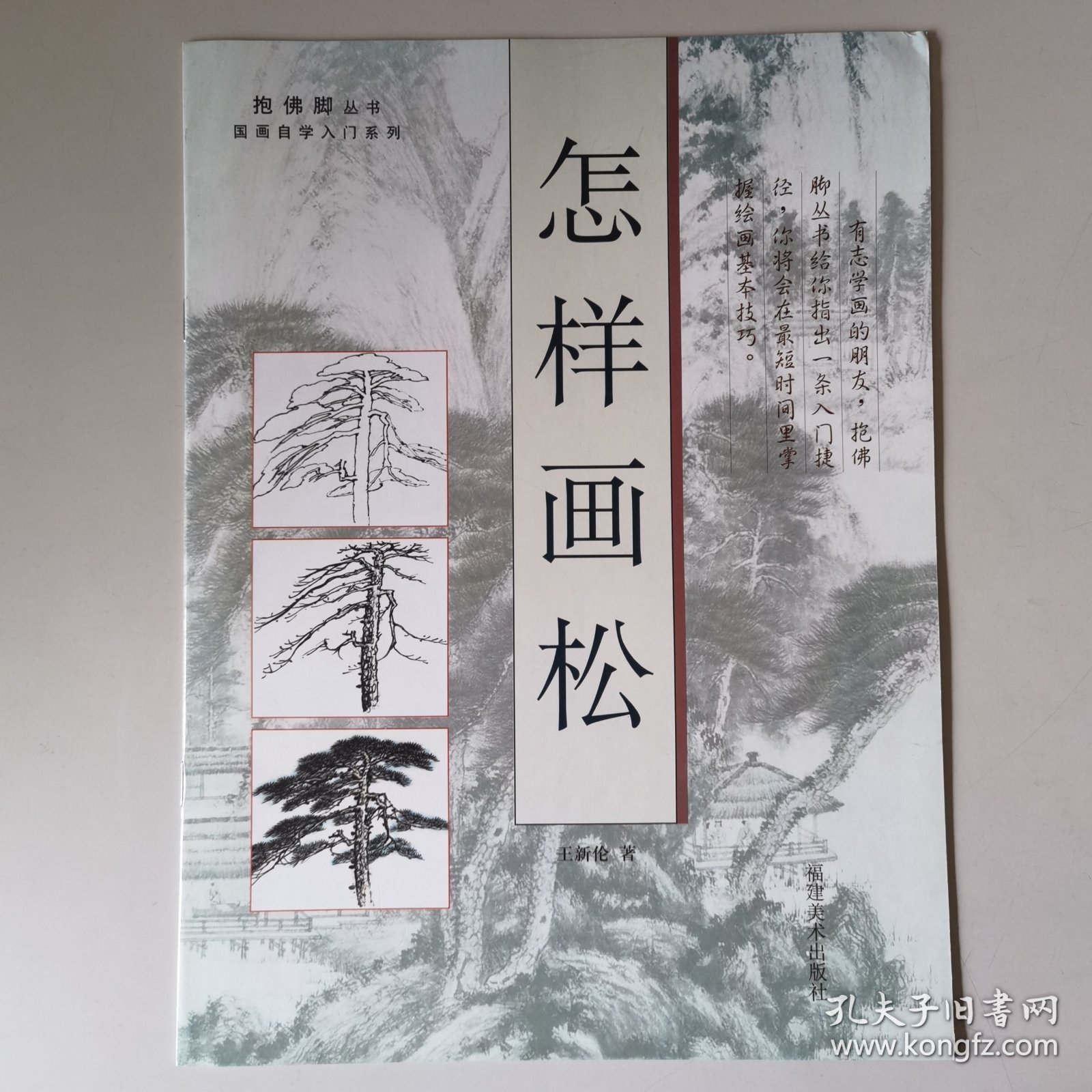 B024教学//抱佛脚丛书国画自学入门系列：怎样画梅花、牡丹、松、竹、鸟（5本合售）