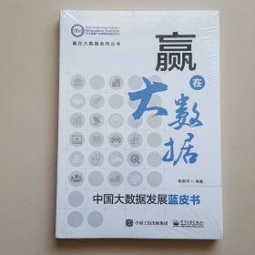 赢在大数据：中国大数据发展蓝皮书