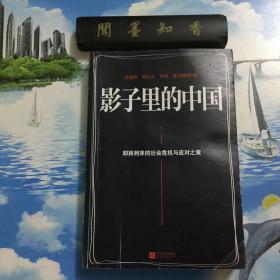 正版现货     影子里的中国：即将到来的社会危机     内页无写划