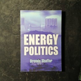 Energy Politics