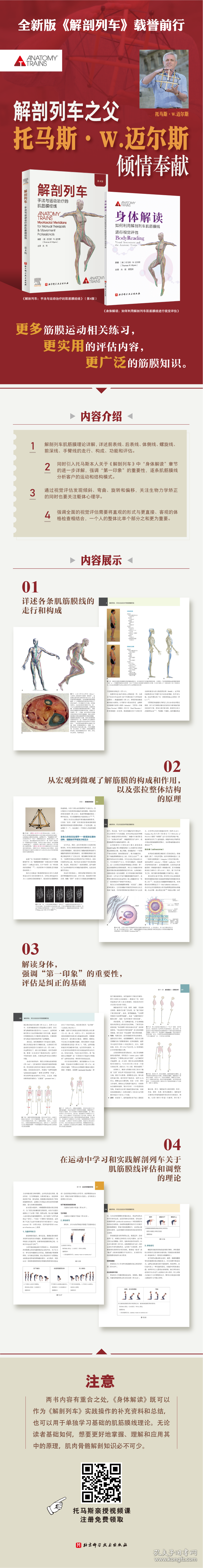 解剖列车:手法与运动治疗的肌筋膜经线(第4版)(美)托马斯·W.迈尔斯(Thomas W. Myers)编著