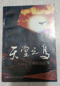天堂之鸟——三毛摄影诗歌集