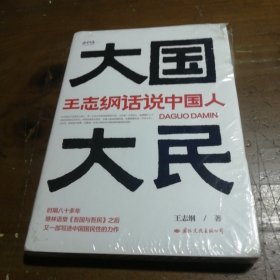 大国大民——王志纲话说中国人