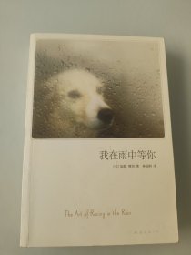 我在雨中等你