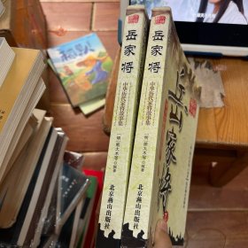 岳家将（上下）