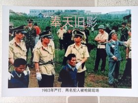 1983年：”严打“