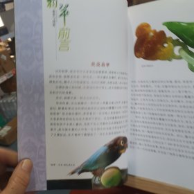 【10元包邮】翡翠鉴赏与投资
