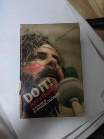 Do it ! Jerry Rubin