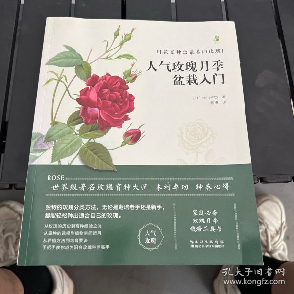 人气玫瑰月季盆栽入门