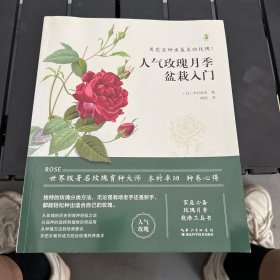 人气玫瑰月季盆栽入门