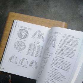 耳鼻咽喉科临床解剖学