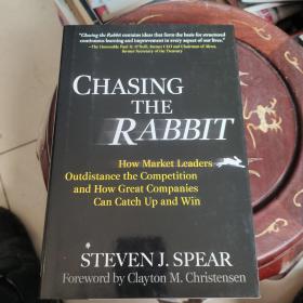 CHASING THE RABBIT