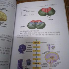 宫氏脑针疗法（正版现货，假一赔十，宫小虎等）