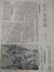  《纪平水茶区》，作者陈之平。1950年杂志文章，浙江绍兴市茶文化史料，平水镇，著名茶叶产区。作者说，平水茶区，包括绍兴，嵊县，新昌，诸暨等十三个县份而成。诉不尽的重重苦难——解放前茶农情况。翻身做主人，采茶女向丹家岭去采茶（图片），抗美援朝结合茶改运动。图片《平水区三界红茶推广中队制茶培训班》，三界茶厂。16开大小。一张纸正反面。