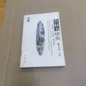 公权力研究