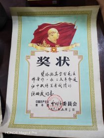 1966团委奖状