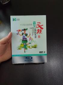 中国民族舞蹈集锦 典藏2DVD无损音画

实拍，品相自定