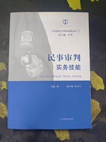 人民法院工作实务技能丛书（2）：民事审判实务技能