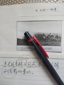 北京司法矫正总局大石桥刑务署