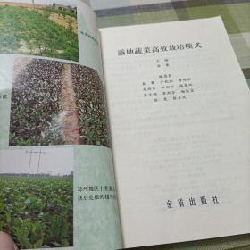 露地蔬菜高效栽培模式