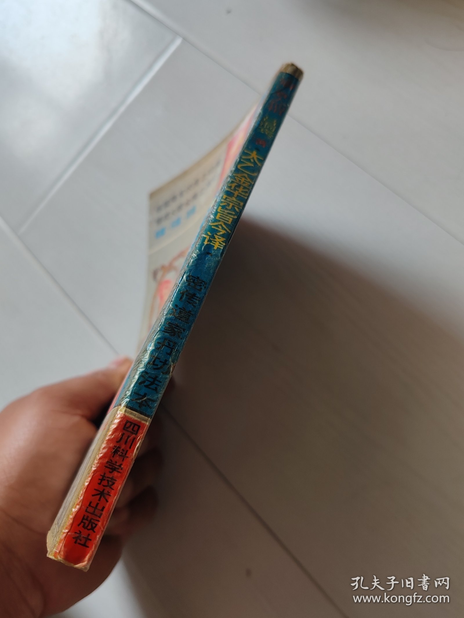 太乙金华宗旨今译:密传仙人丹功秘练法本