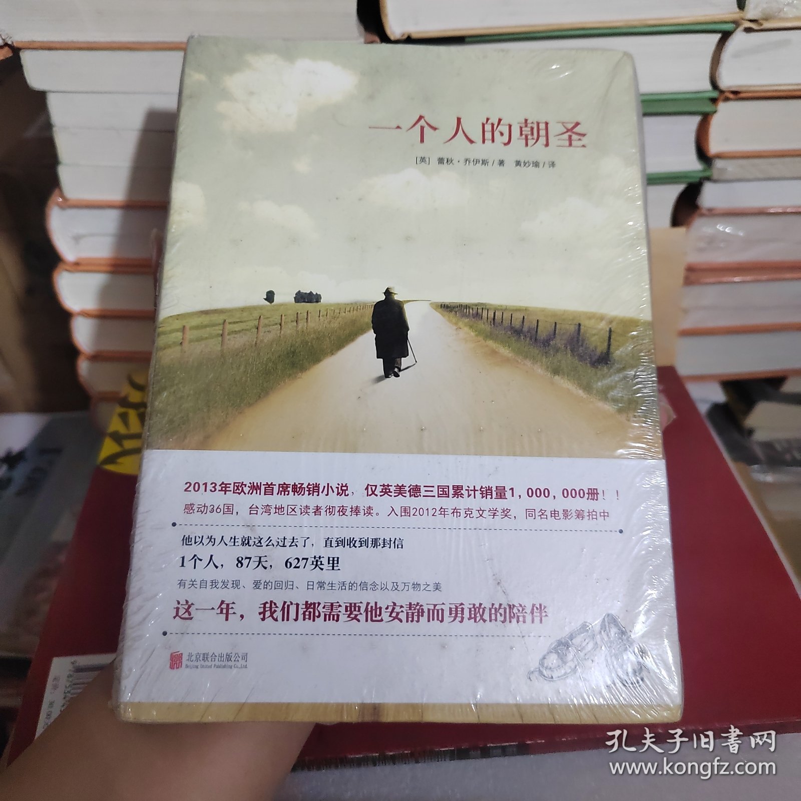一个人的朝圣