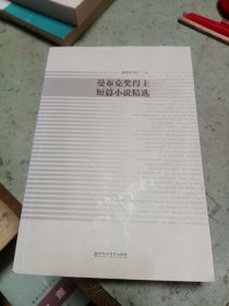 曼布克奖得主短篇小说精选