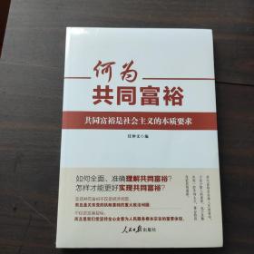 何为共同富裕