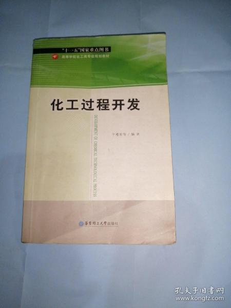 高等学校化工类专业规划教材：化工过程开发